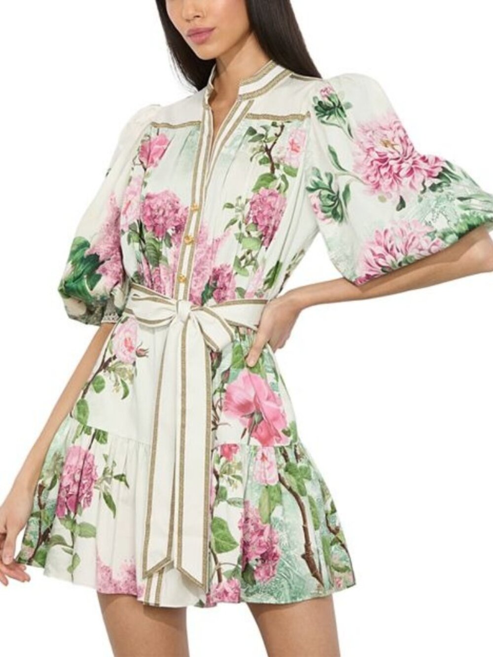 Alice and Olivia Cora Mini Dress